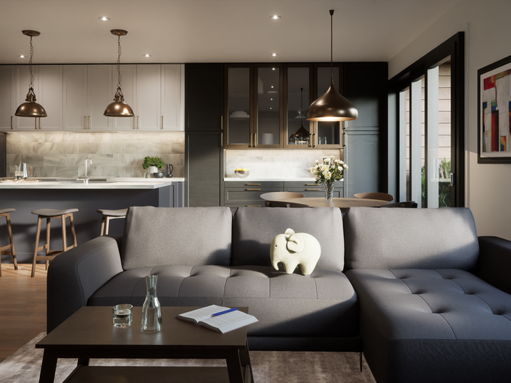 Secondary dwelling kitchen living 1.png