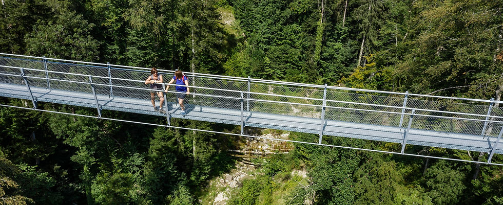 HÄNGEBRÜCKE