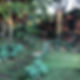 Betel