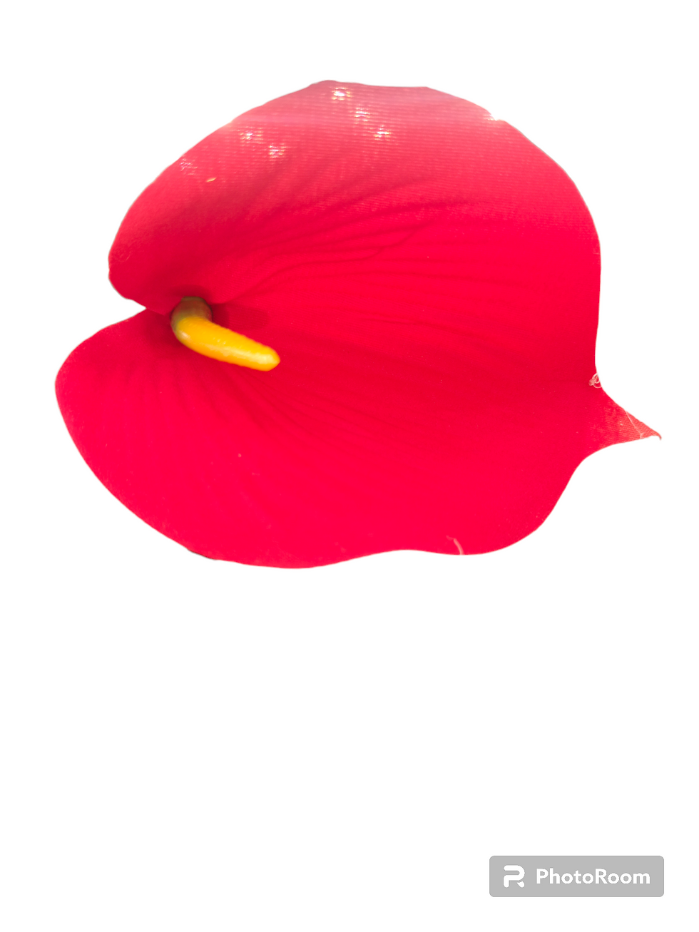 Thumbnail: Petals