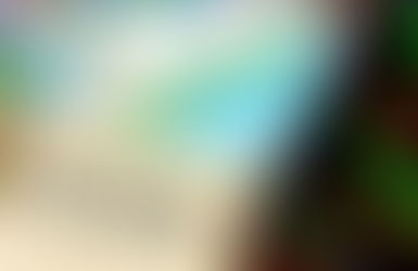 Stock Market 101: Options Trading