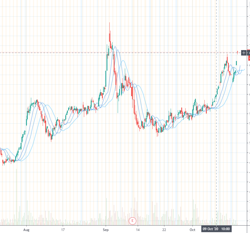 Why I believe Chewy will go up soon.