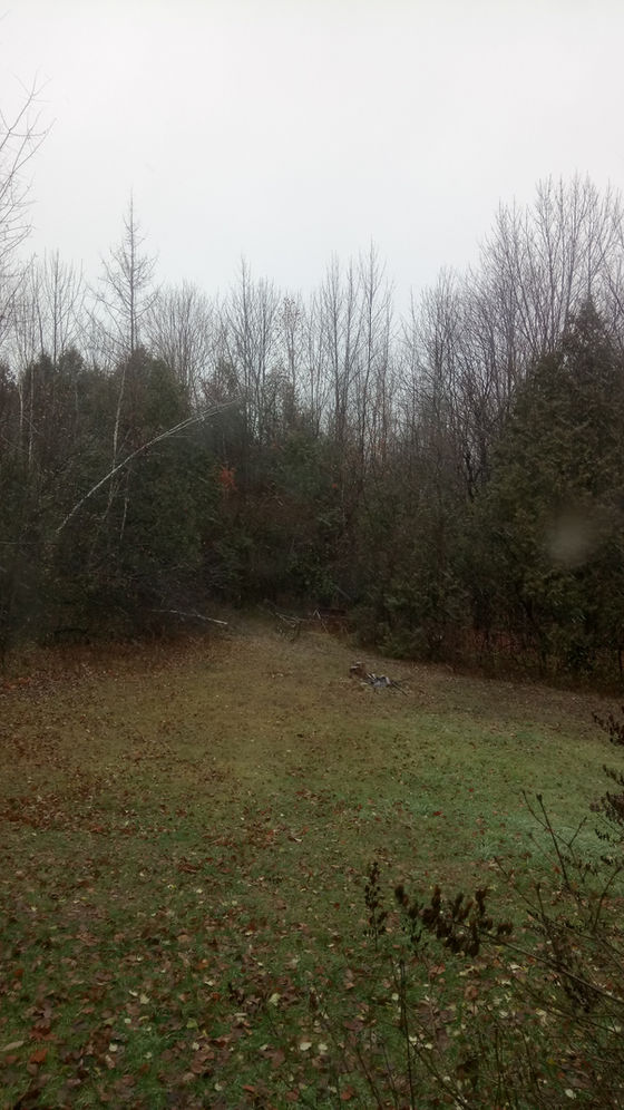 First Snowstorm in Ontario