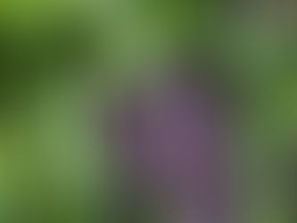 振り返る、夏の思い出
