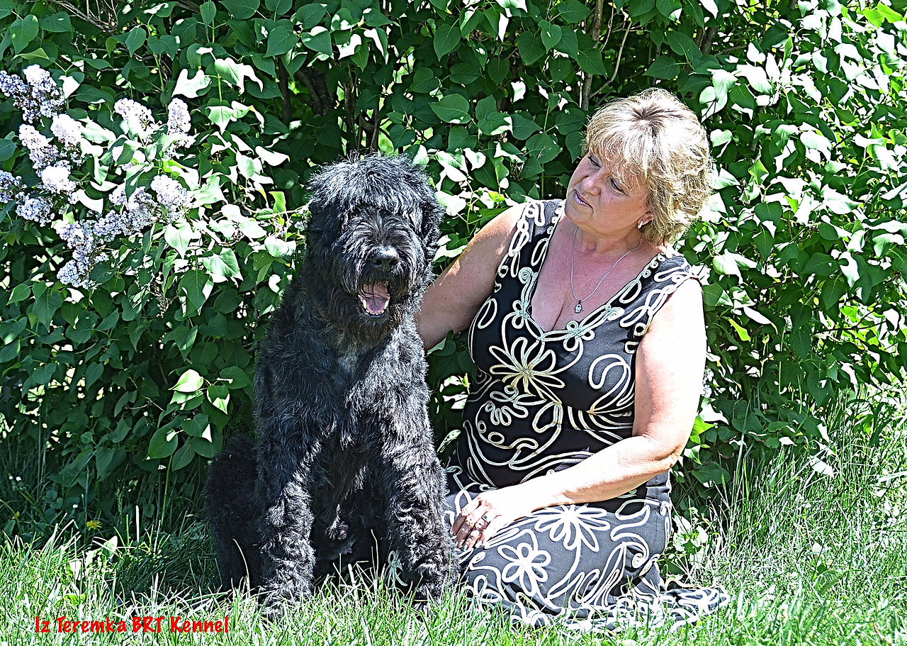 Lana sitting in a kneeling position is hugging black russian terrier Groosha Iz Teremka who is sitting on Lana’s right side