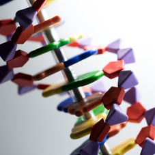 Genetics and Adult ADHD: What Your DNA Can—and Can’t—Tell Us About Diagnosis and Treatment