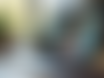 Innovative Models of Virtual ADHD Care: Transforming Support for Busy Professionals