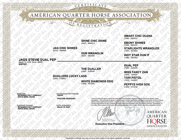 Broodmare Papers