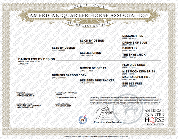 Broodmare Papers