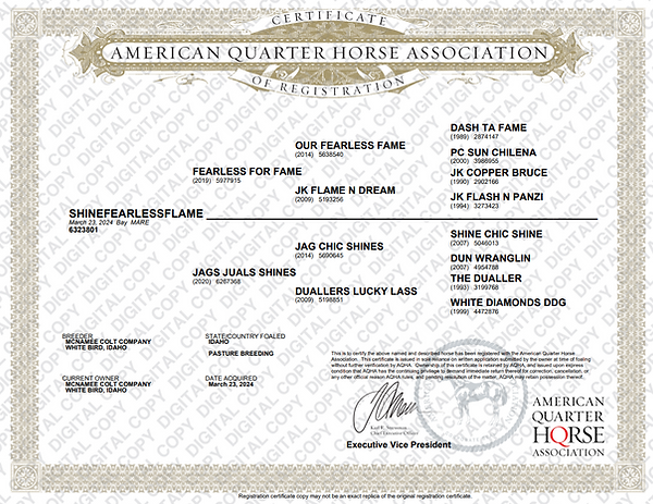 Broodmare Papers