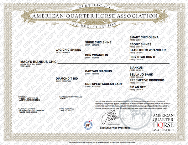 Broodmare Papers