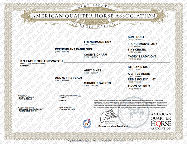 Broodmare Papers