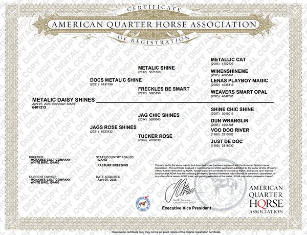 Broodmare Papers