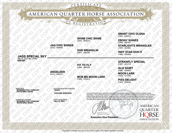 Broodmare Papers