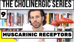 The Muscarinic Cholinergic System (9)