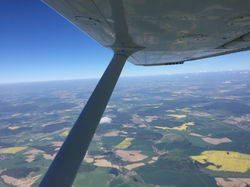 2016-05-08 10.53.41