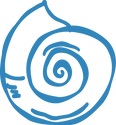 Untitled design (28).png