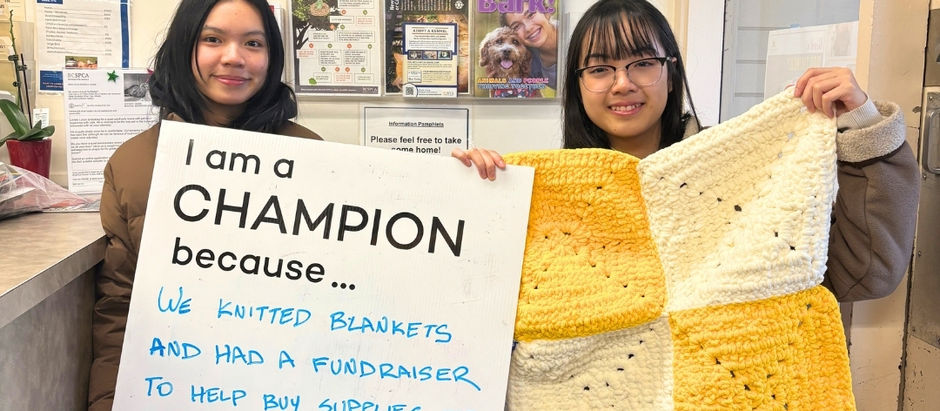 Volunteer Wave Youth Create Handmade Blankets for BC SPCA Animal Adoptions