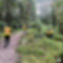 Braving the Rain: Invasive Species Removal at Avalon Pond