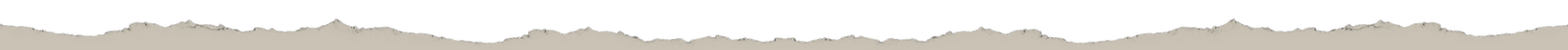 torn yellow_edited.png