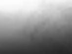 MK GrayBackground .jpg