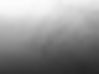 MK GrayBackground .jpg