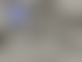 New Perspectives on Warnersville