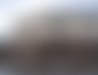 米国ノースカロライナ州 TEACCH調査報告書 齊藤宇開・今本 繁