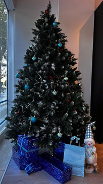 WhatsApp Image 2025-12-10 at 12.08.36 PM.jpeg