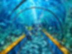 header-photo