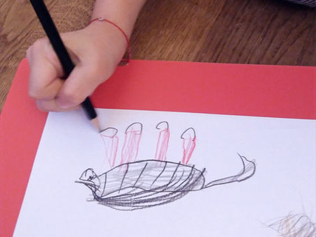 Drawing animals and learning German