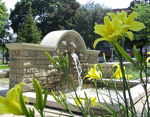 Memorial-Pk-Yellow-Lily.jpeg