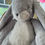 Thumbnail: Bunnies By the Bay Assorted