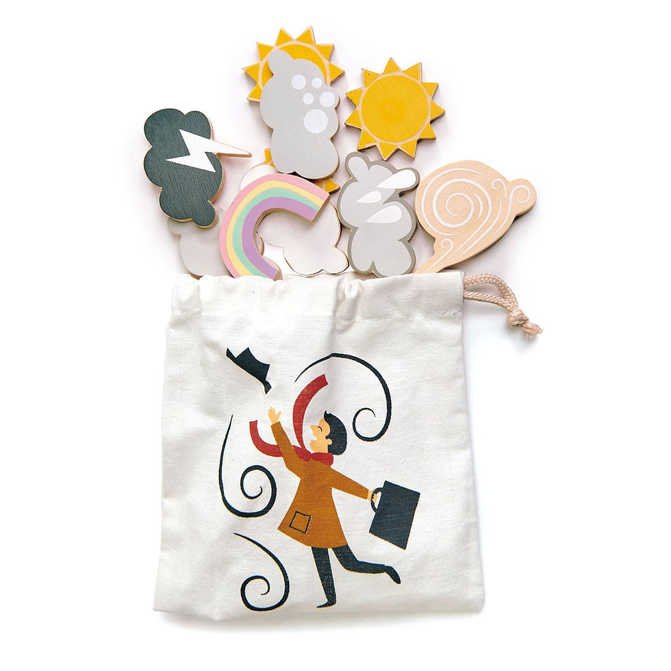 Thumbnail: Tender Leaf  Toys  Weather Watch