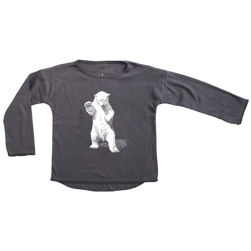 Polar Bear Shirt