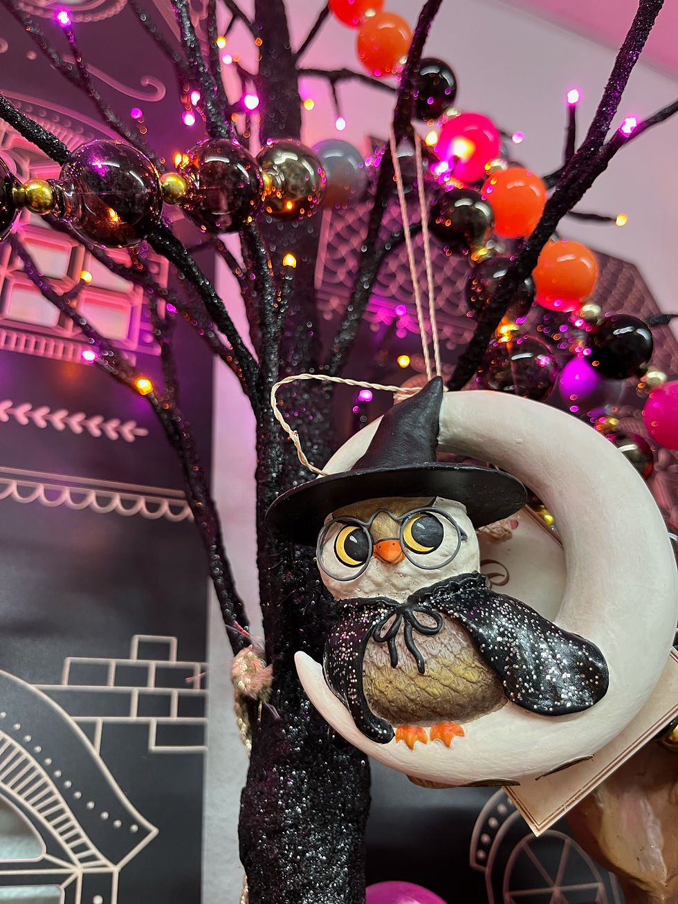 Owl Witch Ornament: Bethany Lowe