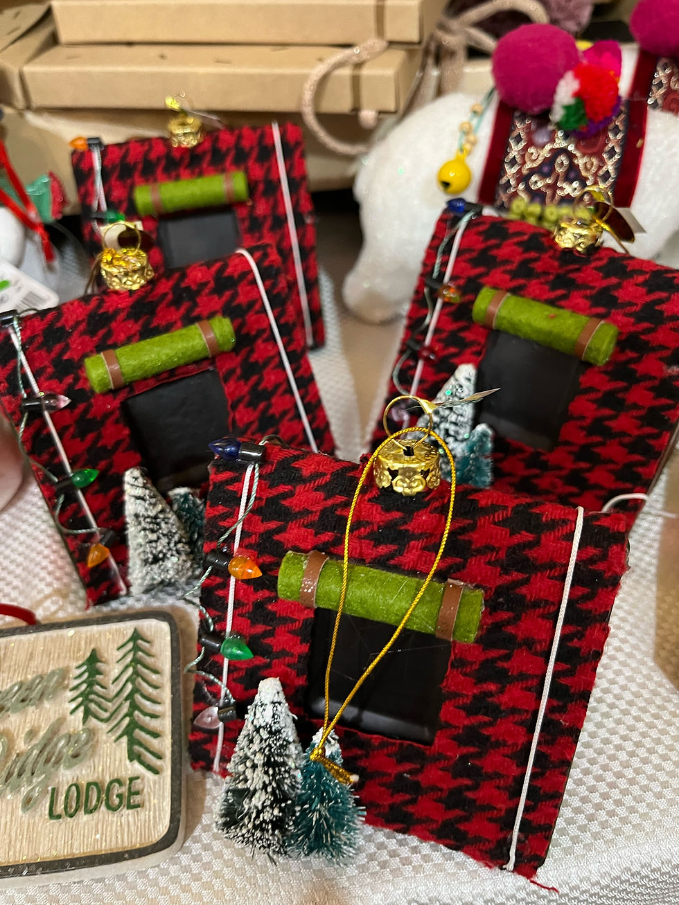 Thumbnail: Ski Ornaments