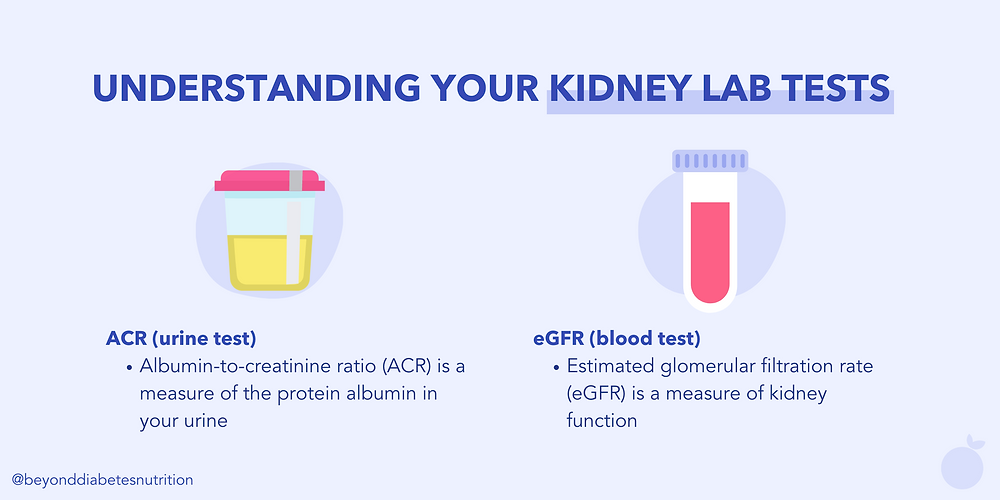 Understanding your kidney lab tests: ACR, eGFR | Beyond Diabetes Nutrition - Lucy Zhang, Registered Dietitian