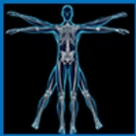 Musculoskeletal Surgery Coding Matrix 1