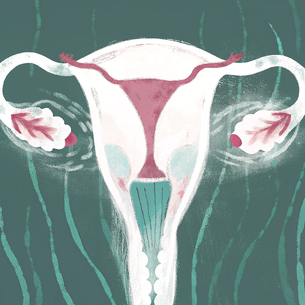 woman-s-uterus-.png