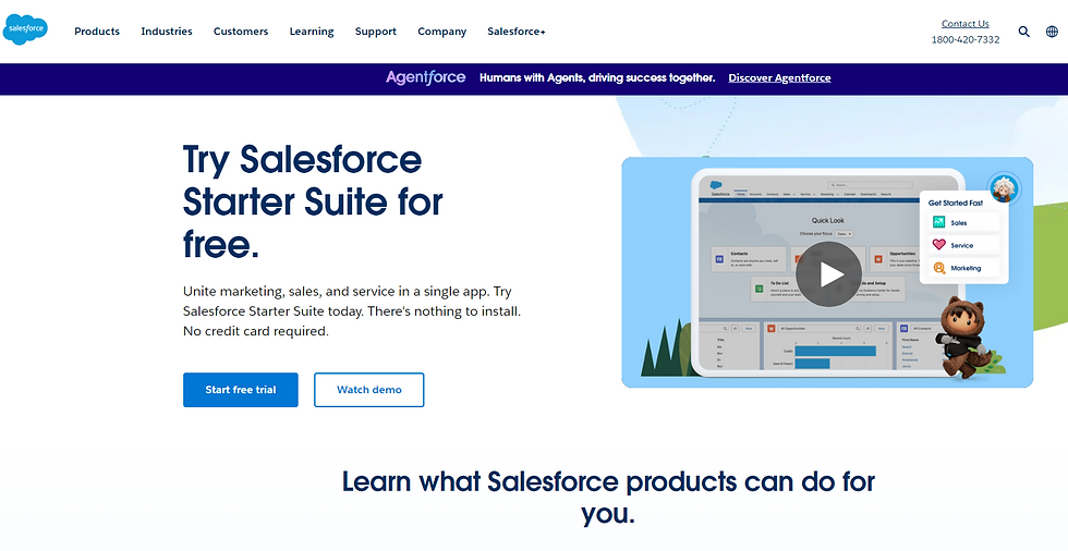 Salesforce Dealership CRM Systems.