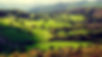 Land BackDrop.jpg