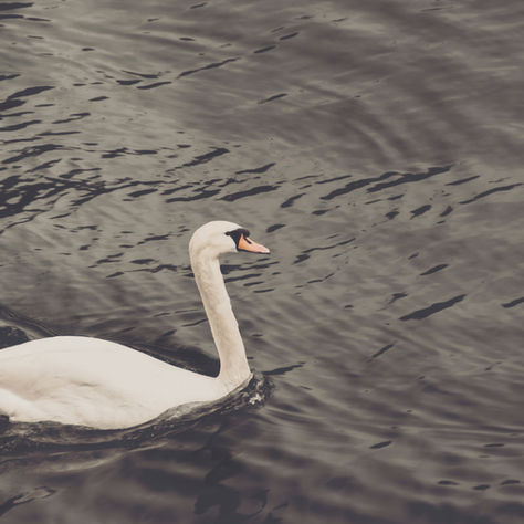 A Sacred Pause: Reclaiming Yourself in Transition