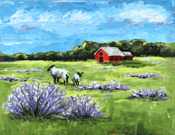Two Sheep