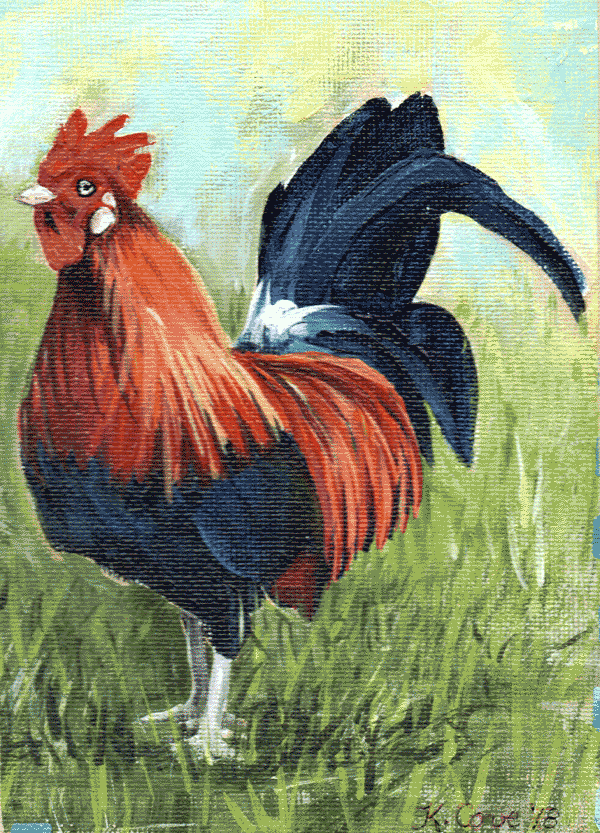 Rooster 2