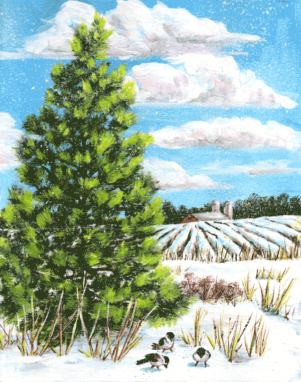 First Snow