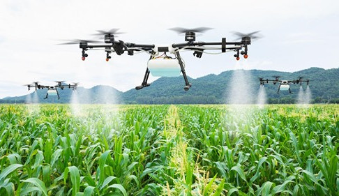 As Countries Mull Exit Strategies, COVID-19 Could Still Undermine Global Food Security