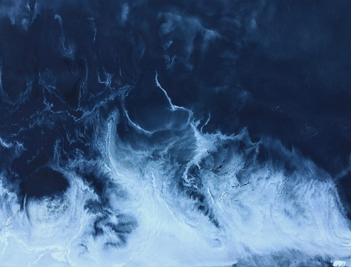 Nocturnal Shore II