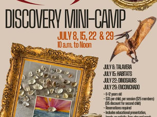 Discovery Mini-Camps Now Enrolling