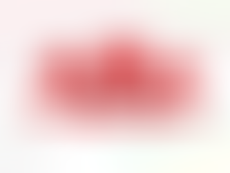 Basel III Capital Regulations - External Credit Assessment Institution (ECAI)